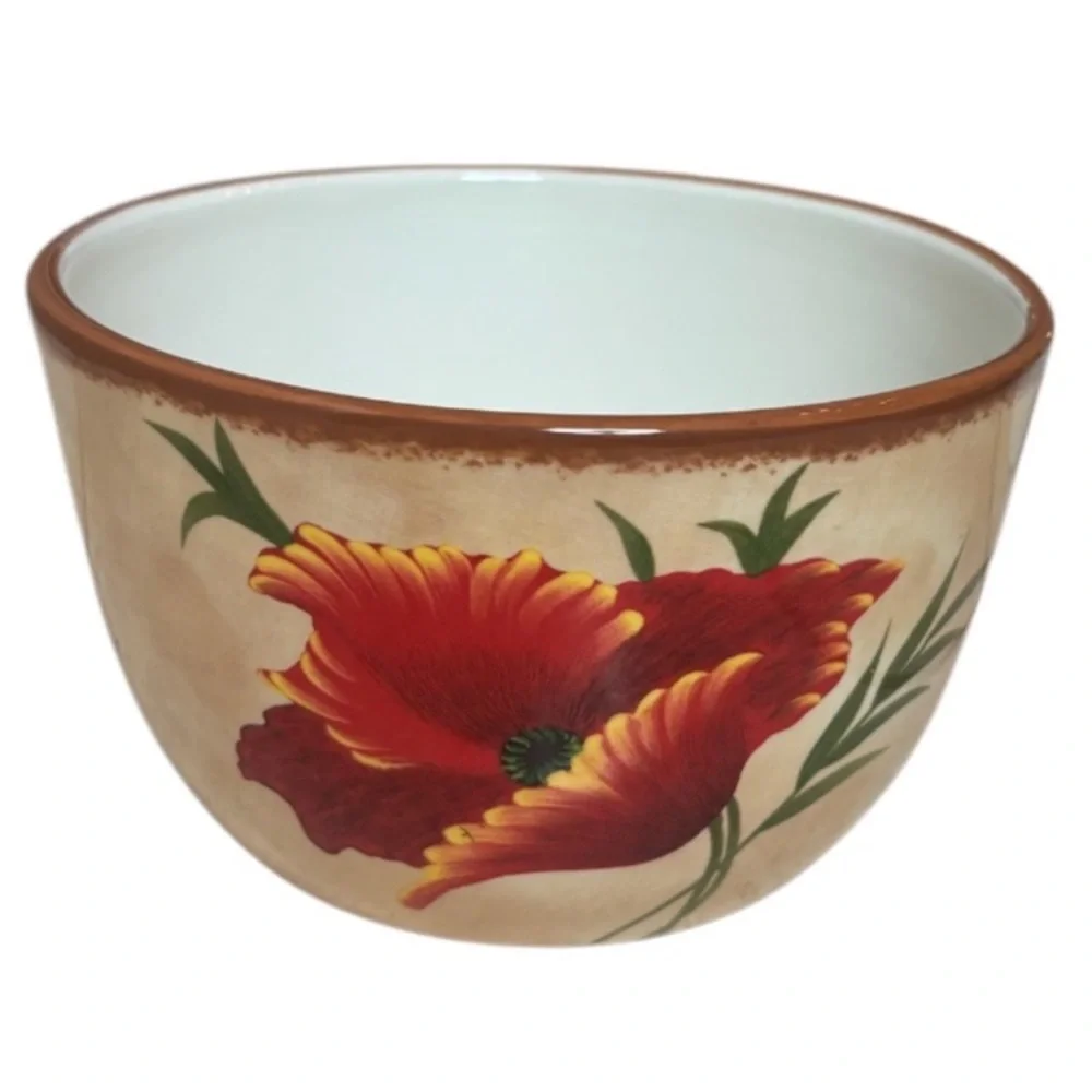 Pier 1 Poppies Bowls 6” Soup / Cereal Bowl Hand Painted Earthenware 4 Pc Set Red